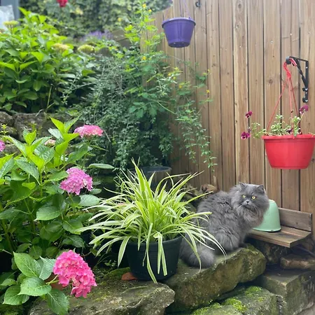 Ferienwohnung Denkendorf