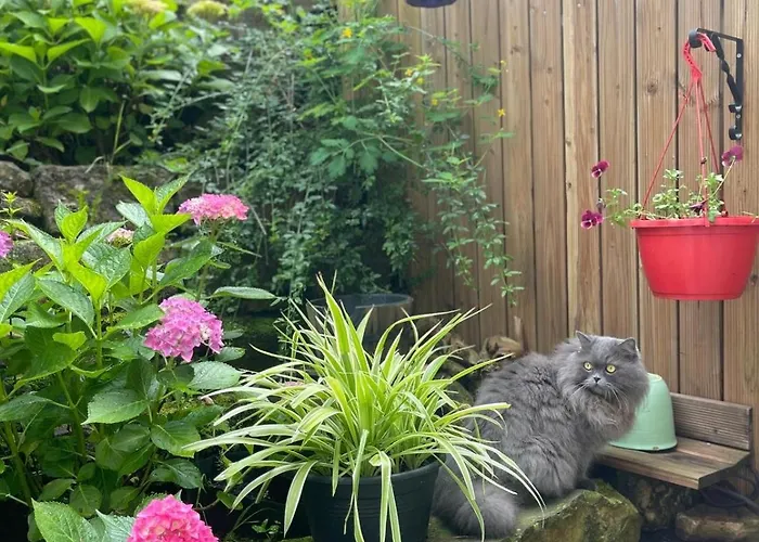 Ferienwohnung Denkendorf